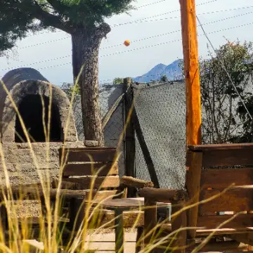 Cabaña 01